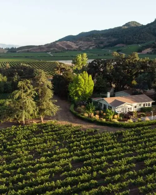 Picnic in the Vineyard