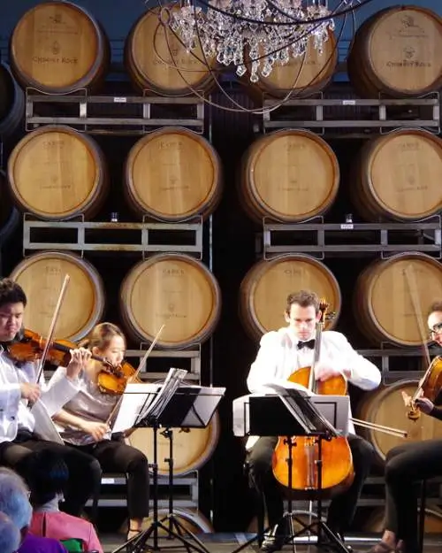 Musicians playing instruments on a vineyard with a pile of barrels on their back.