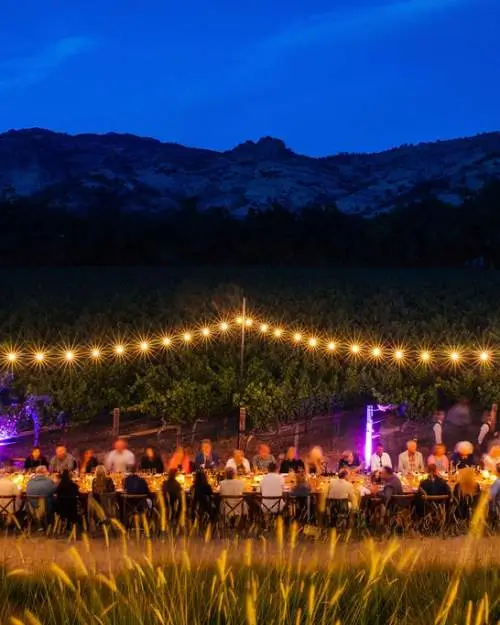 Group of people having a dinner on the vineyard.